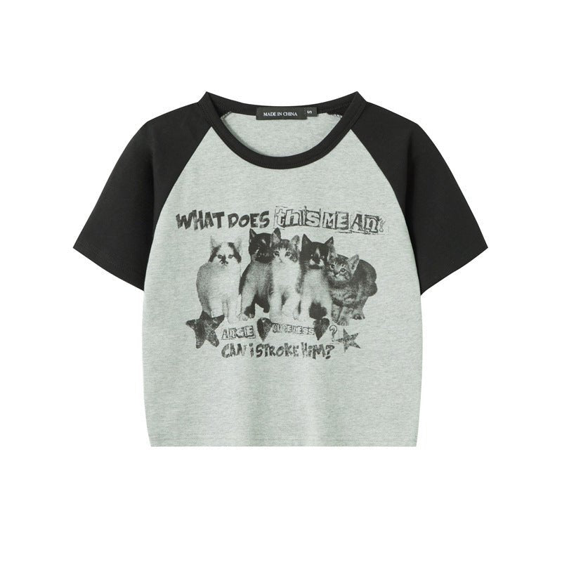 Cat T-Shirt Color Block – Raglan Sleeve, Cropped - MRC STORET-ShirtsMy StoreCat T-Shirt Color Block – Raglan Sleeve, CroppedMRC STORECJCS214354503CXFlower GrayL