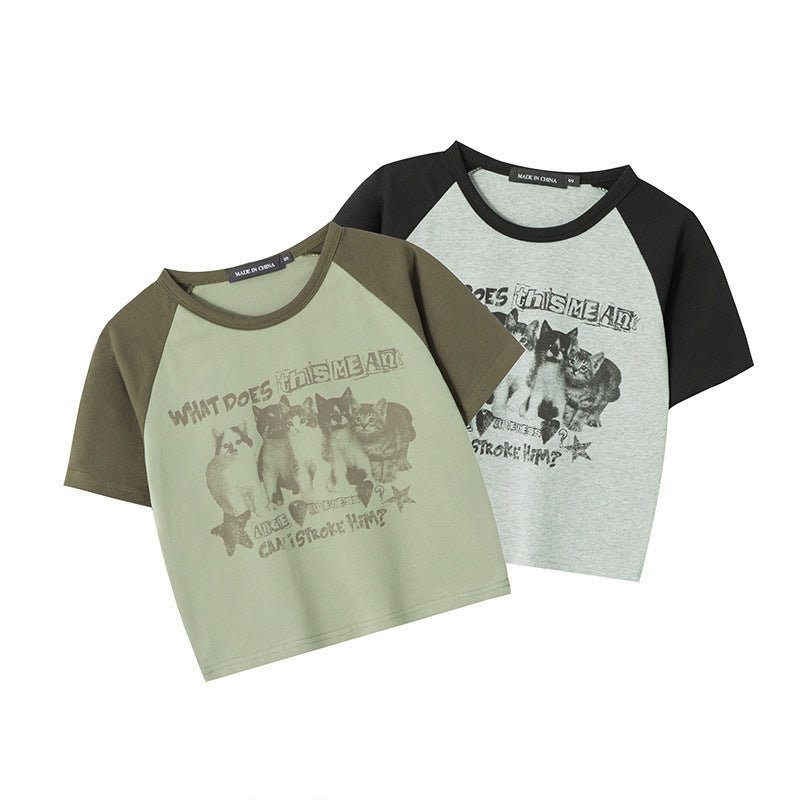 Cat T-Shirt Color Block – Raglan Sleeve, Cropped - MRC STORET-ShirtsMy StoreCat T-Shirt Color Block – Raglan Sleeve, CroppedMRC STORECJCS214354503CXFlower GrayL
