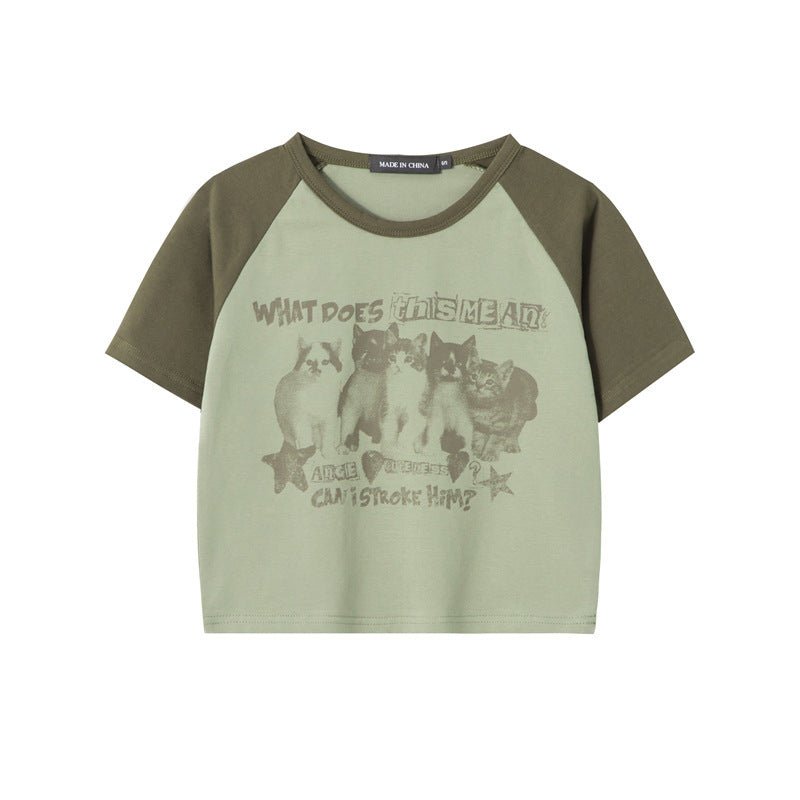 Cat T-Shirt Color Block – Raglan Sleeve, Cropped - MRC STORET-ShirtsMy StoreCat T-Shirt Color Block – Raglan Sleeve, CroppedMRC STORECJCS214354503CXFlower GrayL