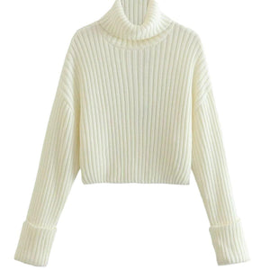 Stylish Striped Turtleneck Sweater for Women – Ultra-Short Loose Fit Design - MRC STORE